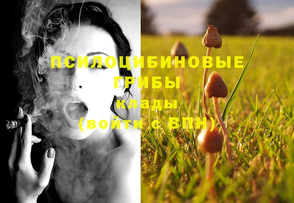 таблы Аркадак