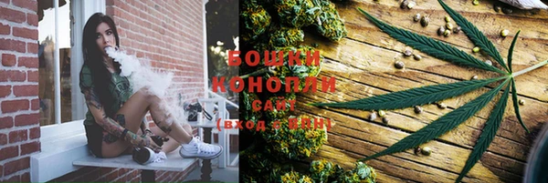 молекула духа Арсеньев