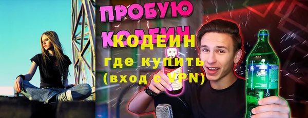 молекула духа Арсеньев