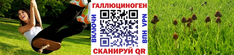 Псилоцибиновые грибы MAGIC MUSHROOMS  где можно купить   darknet какой сайт  Таруса 